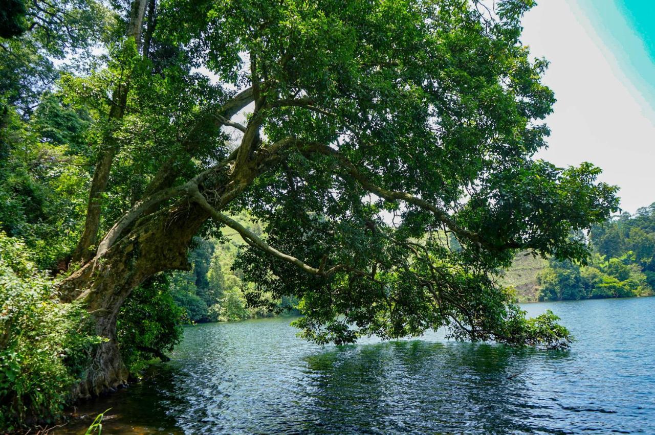 Lake Nyamirima Cottages Fort Portal Экстерьер фото